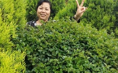 疯狂别克车撞孕妇小孩都撞出来了